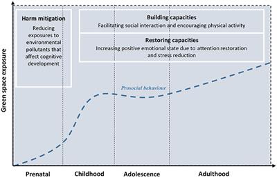 The Relationship Between <mark class="highlighted">Green Space</mark> and Prosocial Behaviour Among Children and Adolescents: A Systematic Review
